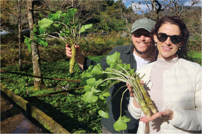 01伊豆わさびの1日|A Full-Day Izu Wasabi Tour gor All Five Senses