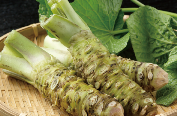 01伊豆わさびの1日|A Full-Day Izu Wasabi Tour gor All Five Senses