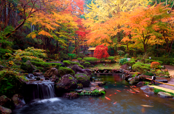 宙 SORA（そら） 渡月荘金龍